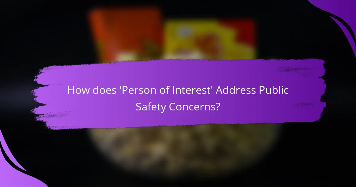How does 'Person of Interest' Address Public Safety Concerns?
