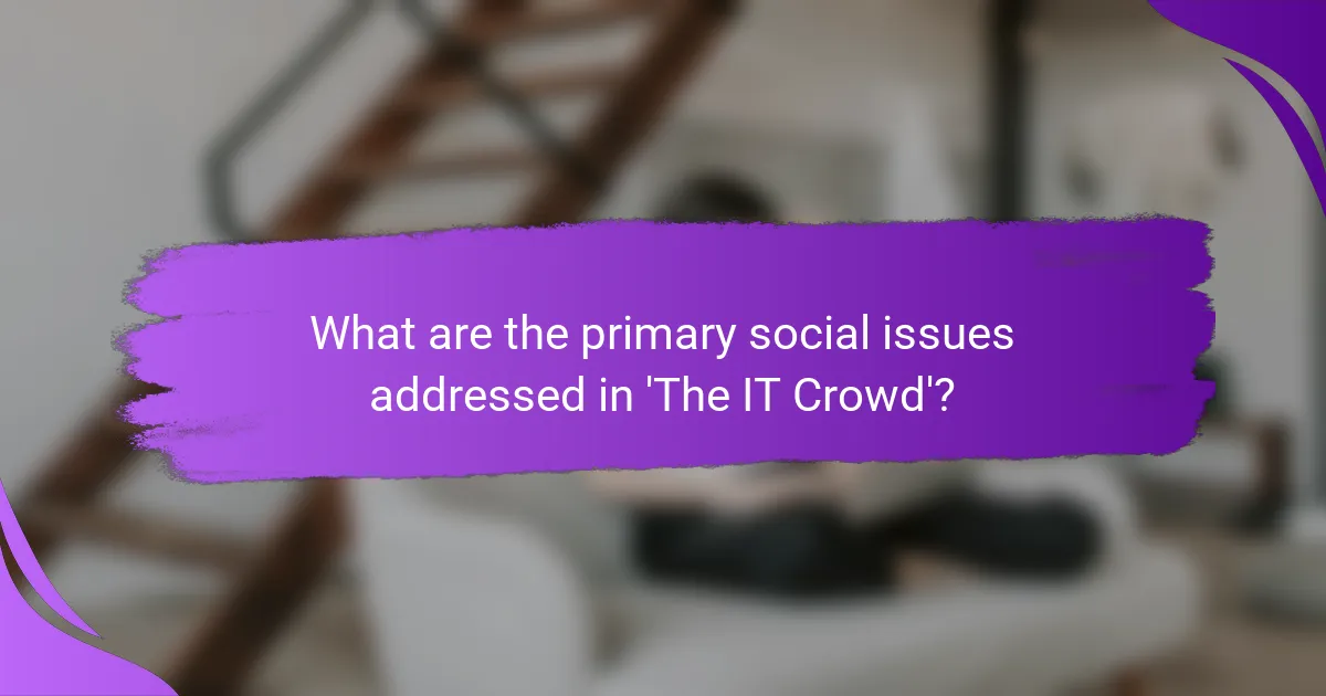 What are the primary social issues addressed in 'The IT Crowd'?