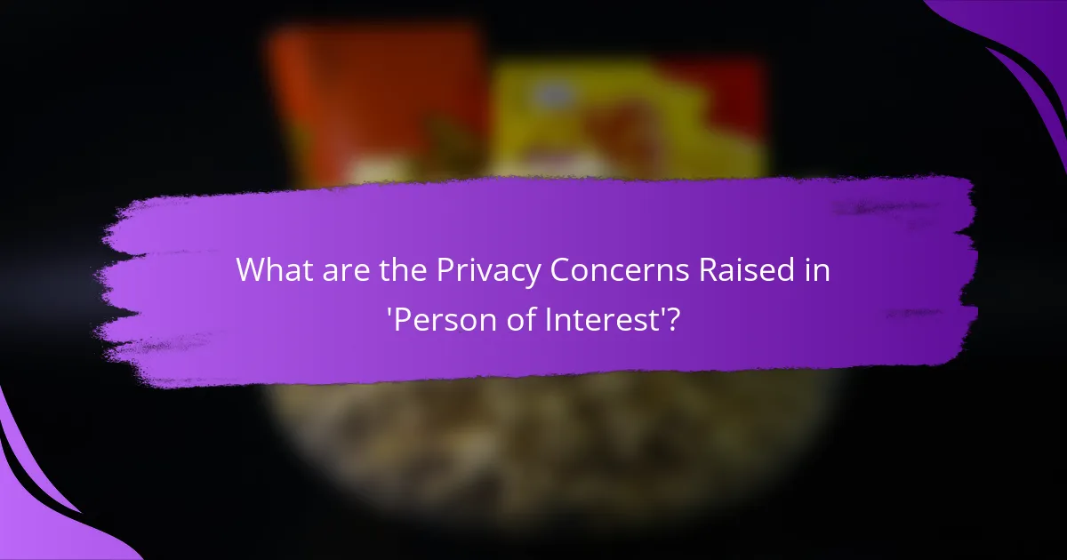 What are the Privacy Concerns Raised in 'Person of Interest'?
