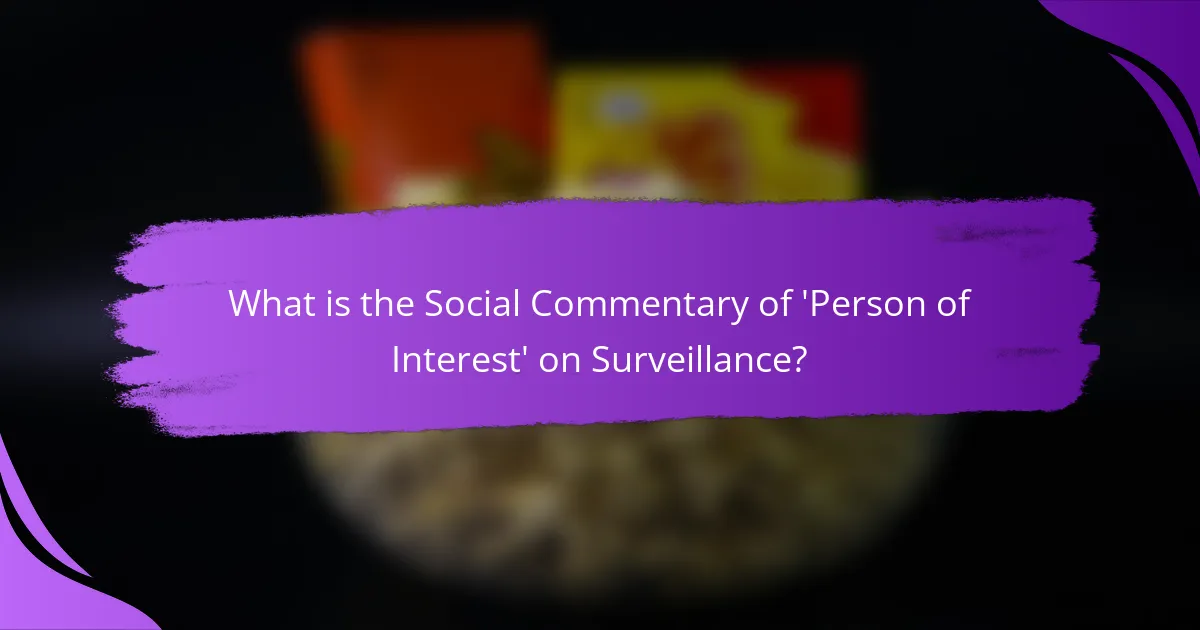 What is the Social Commentary of 'Person of Interest' on Surveillance?