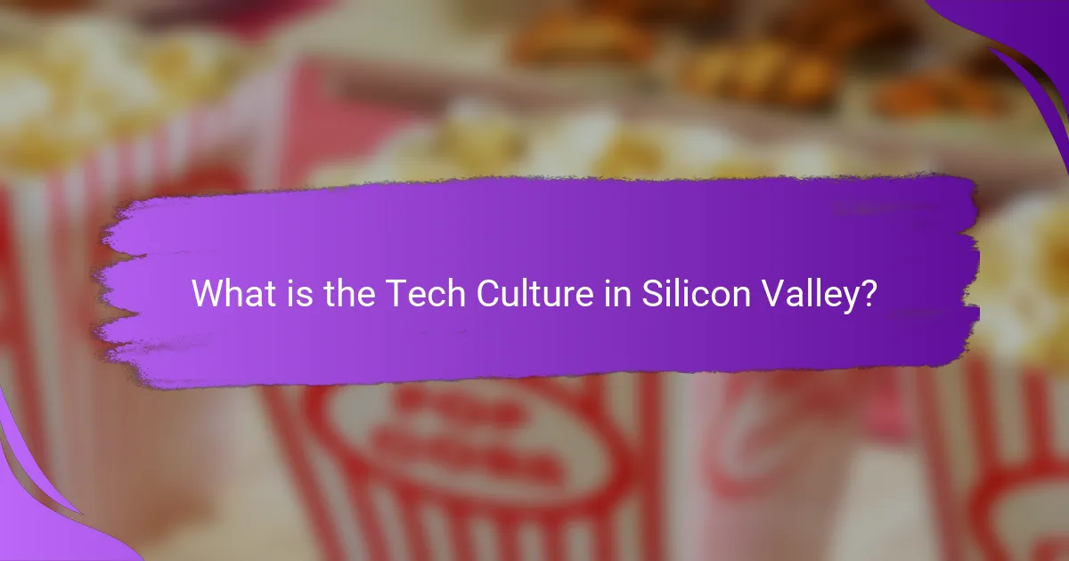 What is the Tech Culture in Silicon Valley?